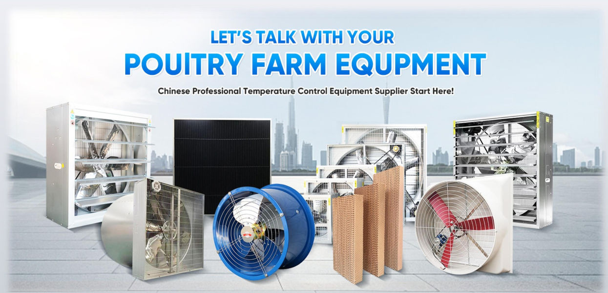 Shandong Xingmuyuan Agriculture and Animal Husbandry Technology Co.,ltd manufacturer production line