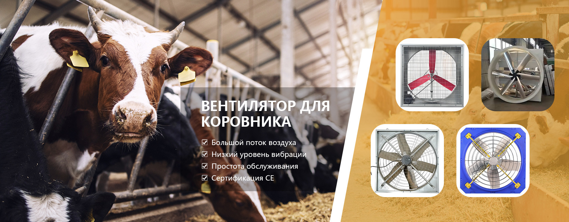 quality Exhaust fan factory